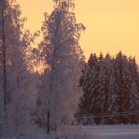 Villa Tiirinkallio Nilsiä 部屋 写真