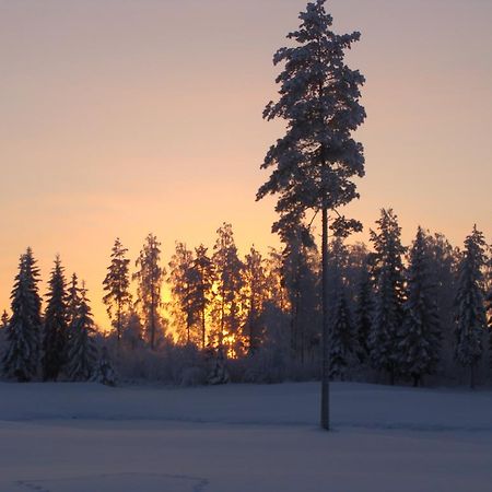 Villa Tiirinkallio Nilsiä 部屋 写真