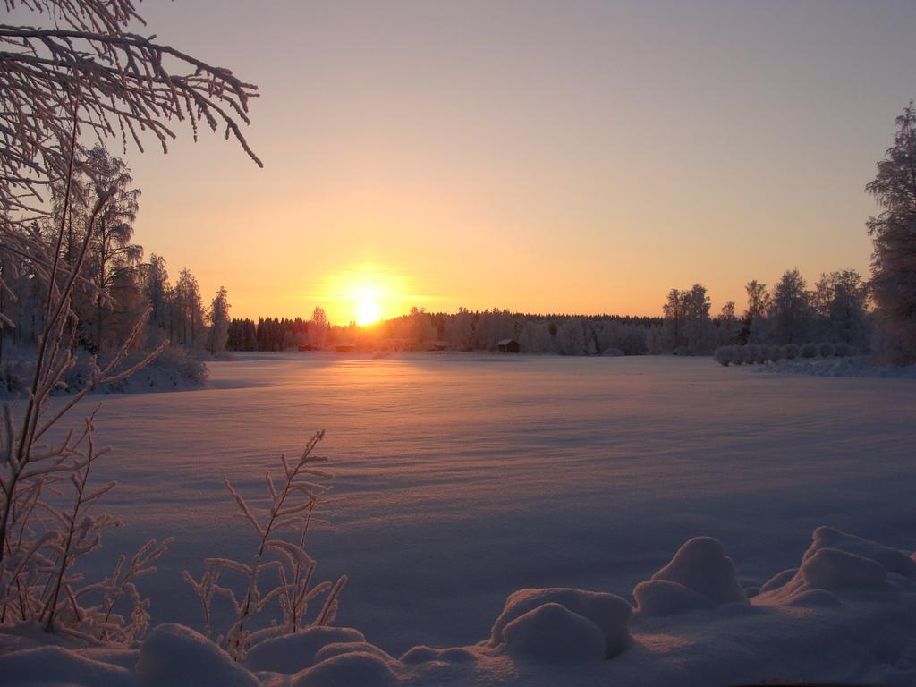 Villa Tiirinkallio Nilsiä 部屋 写真
