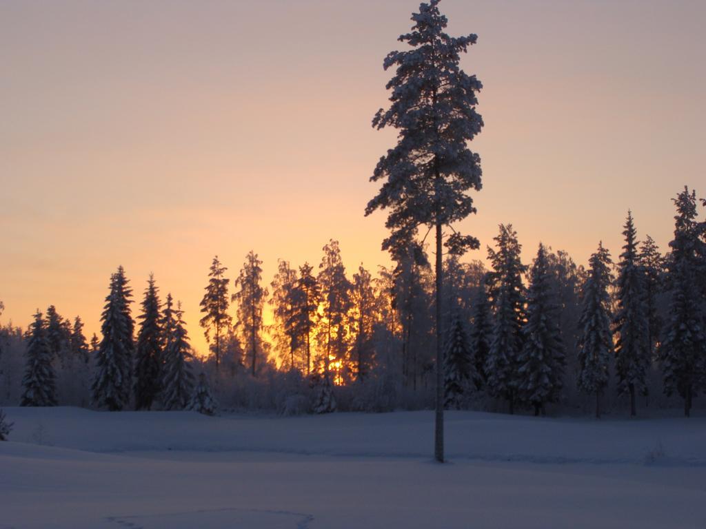 Villa Tiirinkallio Nilsiä 部屋 写真