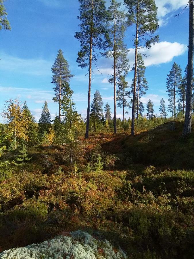 Villa Tiirinkallio Nilsiä エクステリア 写真