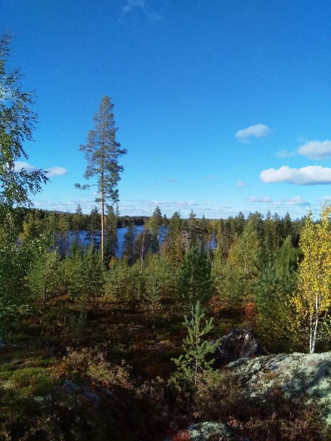 Villa Tiirinkallio Nilsiä エクステリア 写真