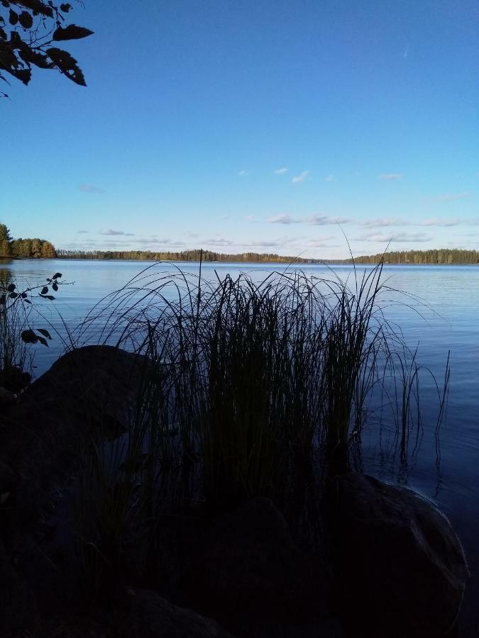 Villa Tiirinkallio Nilsiä エクステリア 写真