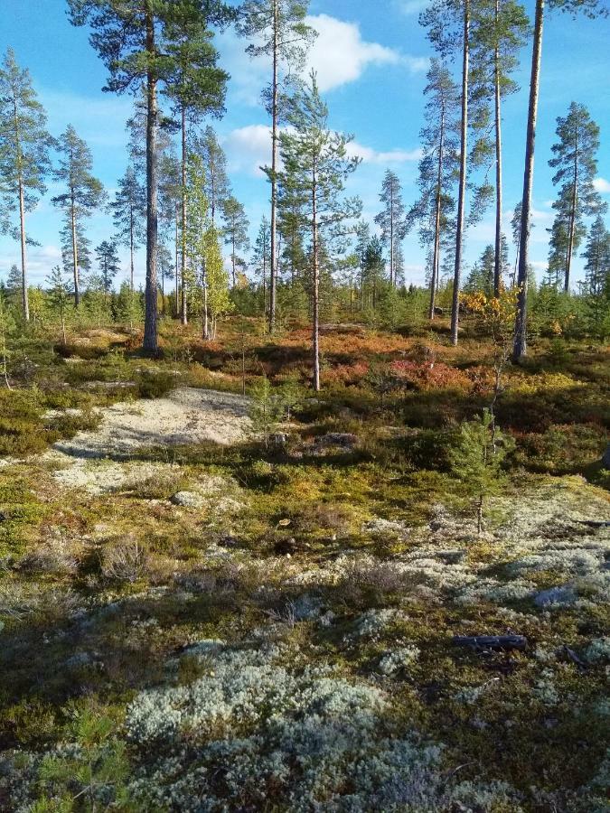 Villa Tiirinkallio Nilsiä エクステリア 写真