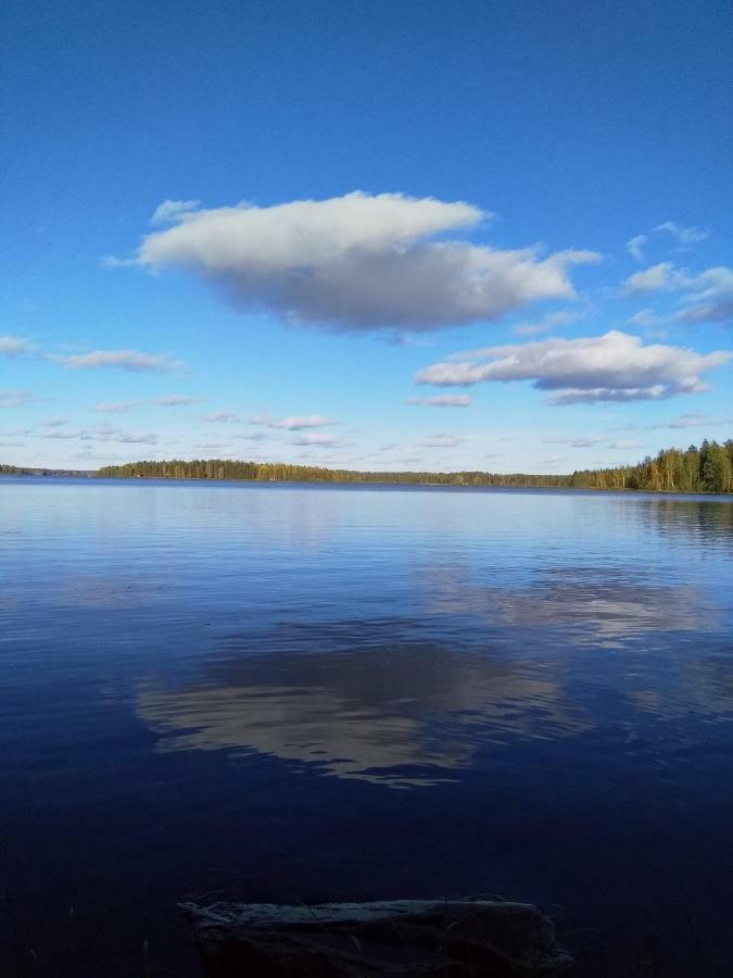 Villa Tiirinkallio Nilsiä エクステリア 写真