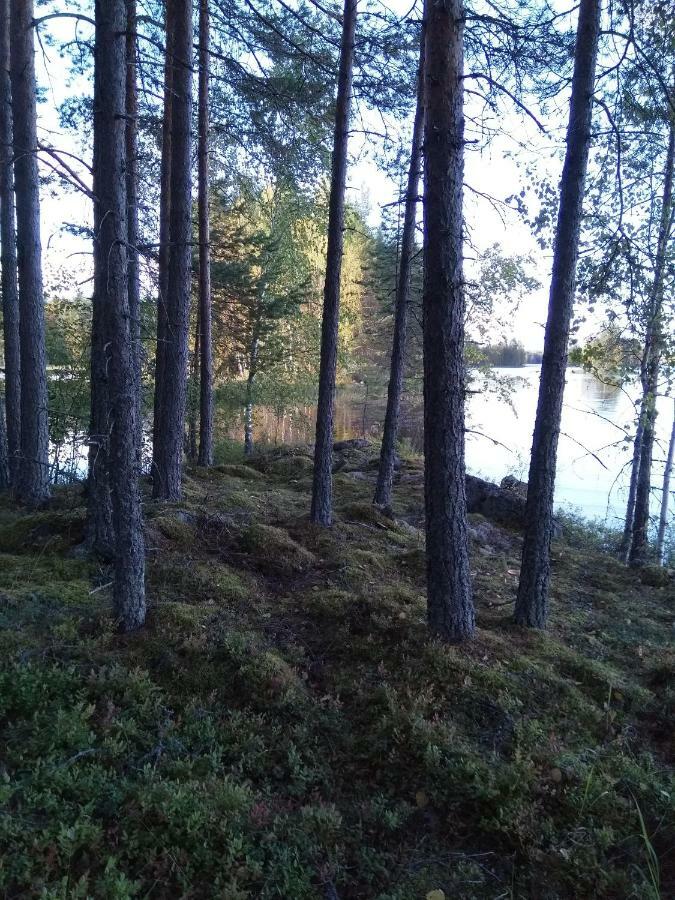 Villa Tiirinkallio Nilsiä エクステリア 写真